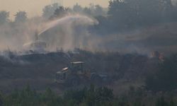 Çanakkale'de orman yangınlarında 541 bin 289 hektar alan zarar gördü