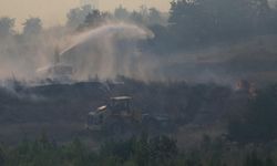 Çanakkale'de orman yangını