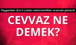 Cevvaz ne demek?