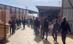 Göçmen kaçakçılarına 31 ilde eş zamanlı operasyon