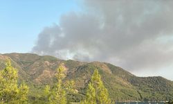 Marmaris'teki orman yangınında ikinci gün: Havadan ve karadan müdahale sürüyor