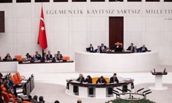 Suça sürüklenen çocuklar kanun teklifinin ilk 2 maddesi kabul edildi