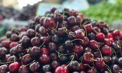 Yaş meyve ihracatında tarihi rekor