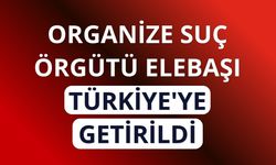 Organize suç örgütü elebaşı Serkan Kurtuluş Türkiye'ye getirildi