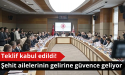 Teklif kabul edildi! Şehit ailelerinin gelirine güvence geliyor