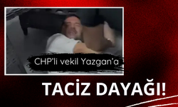 CHP'li vekile taciz dayağı!