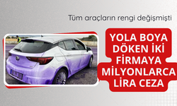 Kara yoluna boya döken iki firmaya milyonlarca lira ceza