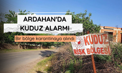 Ardahan'da kuduz alarmı: Bir bölge karantinaya alındı