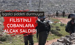 İşgalci şiddeti durmuyor: Filistinli çobanlara alçak saldırı