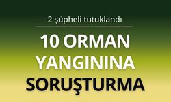 10 orman yangınına soruşturma: 2 şüpheli tutuklandı