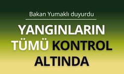 Yangınların tümü kontrol altında