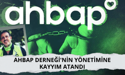 AHBAP Derneği'nin yönetimine Kayyım atandı