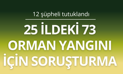 25 ildeki 73 orman yangını için soruşturma: 12 şüpheli tutuklandı
