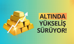 Altında yükseliş sürüyor!