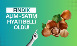TMO fındık alım fiyatlarını açıkladı