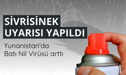 Yunanistan'da Batı Nil Virüsü arttı, sivrisinek uyarısı yapıldı