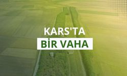 Kars'ta bir vaha