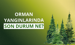 Orman yangınlarında son durum ne?