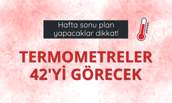 Hafta sonu sıcaklıklar etkisini artıracak