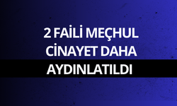 2 faili meçhul cinayet daha aydınlatıldı