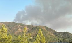Muğla'da orman yangını
