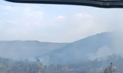 Bolu'da ormanlık alanda yangın