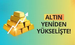 Altın yeniden yükselişte!