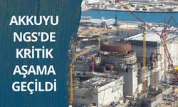 Akkuyu NGS'de kritik aşama geçildi