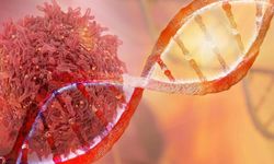 Yapay zeka Claude, DNA'yı değiştiren yeni enzim sisteminin keşfine katkı sağladı