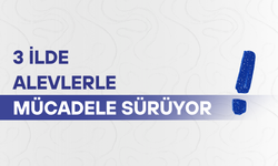 3 ilde alevlerle mücadele sürüyor
