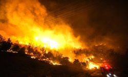 Mersin'de orman yangını!