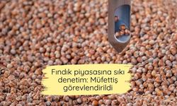 Fındık piyasasına sıkı denetim: Müfettiş görevlendirildi
