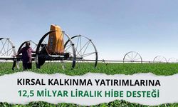 Kırsal kalkınma yatırımlarına 12,5 milyar liralık hibe desteği