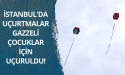 İstanbul'da uçurtmalar Gazzeli çocuklar için uçuruldu
