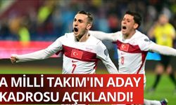 A Milli Takımımızın aday kadrosu açıklandı