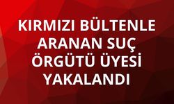 Kırmızı bültenle aranan suç örgütü üyesi yurda girerken yakalandı