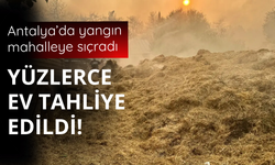 Antalya'daki yangın mahalleye sıçradı!
