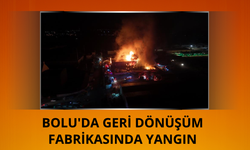 Bolu'da geri dönüşüm fabrikasında yangın