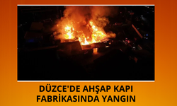 Düzce'de ahşap kapı fabrikasında yangın