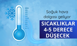 Soğuk hava dalgası geliyor: Sıcaklıklar 4-5 derece düşecek