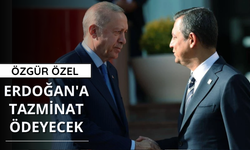 Özgür Özel, Cumhurbaşkanı Erdoğan'a tazminat ödeyecek