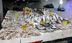 İstanbul'da balık tezgahlarına bolluk geldi