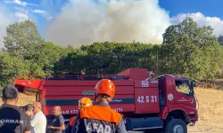 Konya'da orman yangını