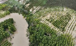 Eylül ayında 66 meteorolojik afet yaşandı