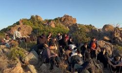 Muğla'da düzensiz göçmen operasyonu