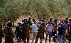 Katil İsrail bu kez zeytin ağaçlarını hedef aldı