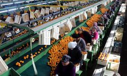Türkiye ihracatında 9 ayda 211 milyar dolarlık rekor