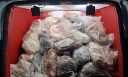 Diyarbakır'da sağlıksız 820 kilo iç yağı ve sakatat ele geçirildi