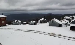 Sakarya'ya kar yağdı