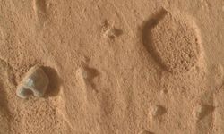 Sahara Çölü'nde bulunan gül rengi göktaşı 4,1 milyar yıllık Mars parçası çıktı